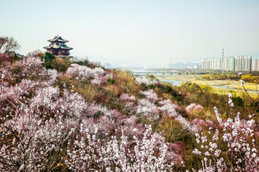春到园博园