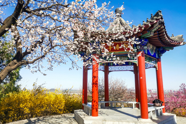 桃花春亭