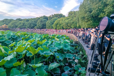 《我在西湖边等晚霞》