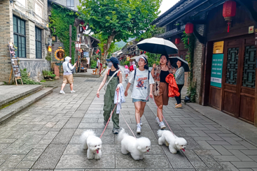 《走过路过》