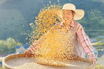 丰收季节