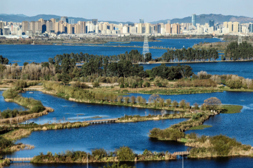 昆明滇池湖滨生态带冬景如画