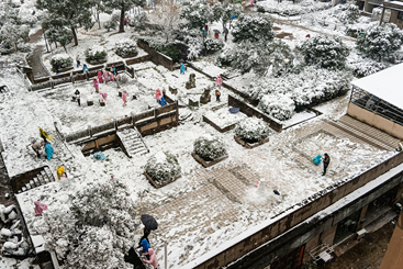 雪趣