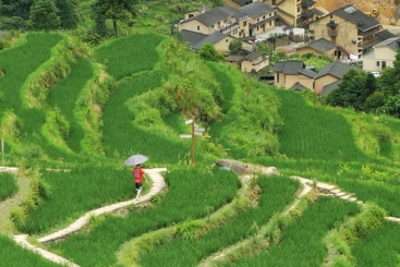 漫步乡村   