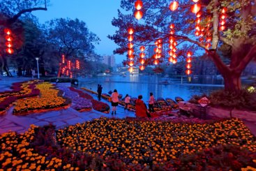 《花影夜梦湾》