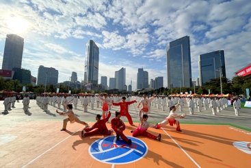 世界冠军示范太极拳