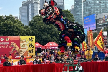 醒狮飞腾