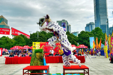 醒狮飞跃