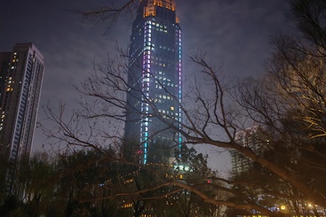 夜幕高楼树影