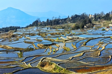 《蓝色梯田》