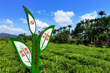 领航与振兴