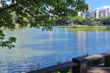 《西湖映夏》
