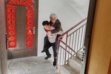 寸草春晖