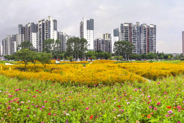 都市美景