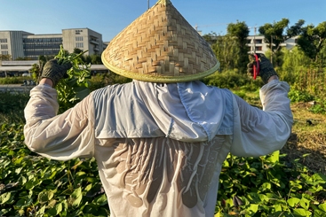 汗流浃背