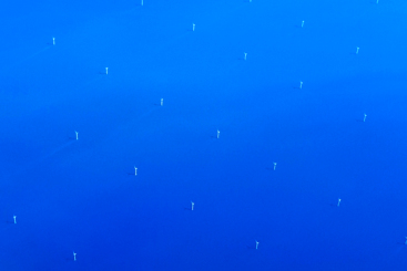 海上风电  风光无限