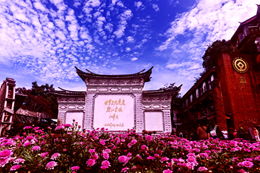 花映古城