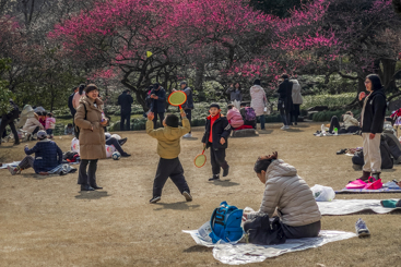 《春日暖阳》