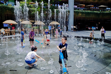 《孩子们的夏天》