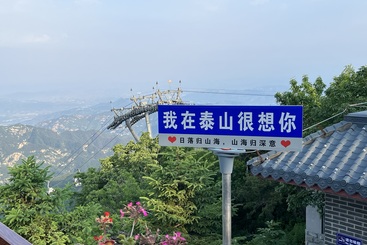 泰山很想你