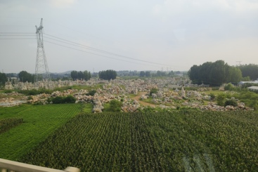 石卧千姿田垄齐