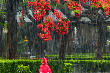 花季雨季