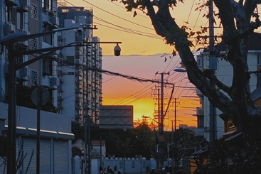暮色回响