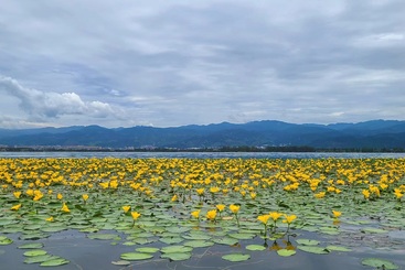 山海