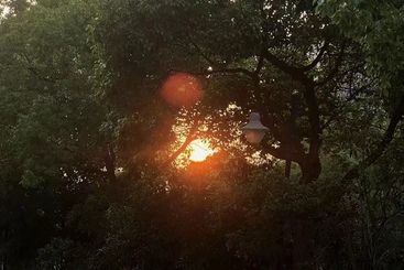 夕阳
