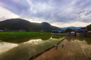 乡村