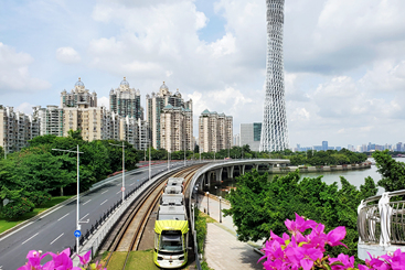 花开迎客来