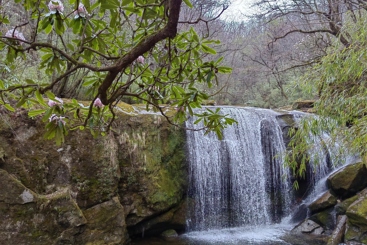 山野秘境