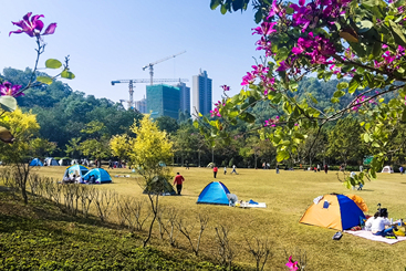 《大运公园露营地》