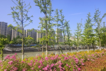 城市里的运河