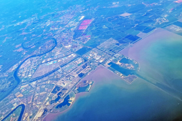 绿色鹏城