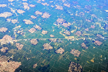 绿色家园