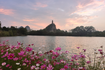 塔山丽影