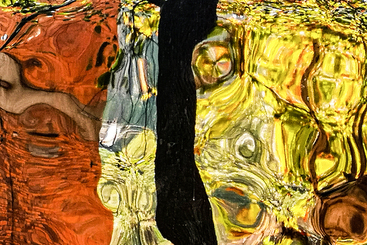《油画》