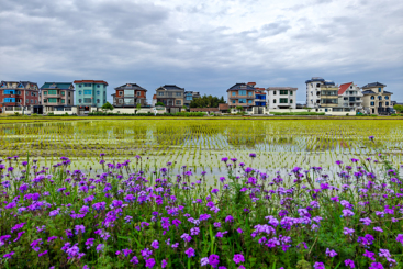 美丽乡村