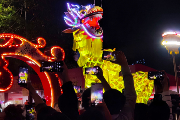 龙凤呈祥