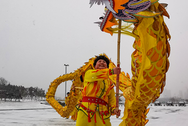 飞雪迎春