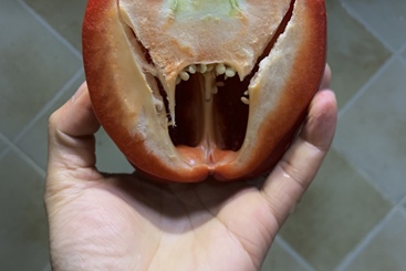 愤怒的辣椒