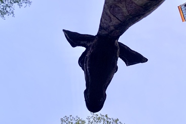 够