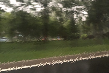 雨痕