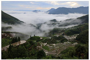 高山梯田