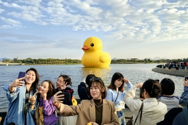 大黄鸭来了