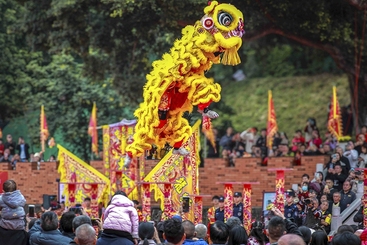 龙腾虎跃