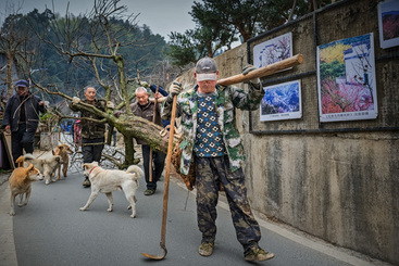 卖花渔村种植忙