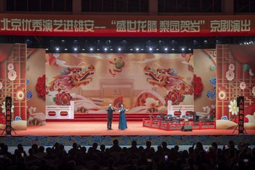 盛世龙腾 梨园贺岁