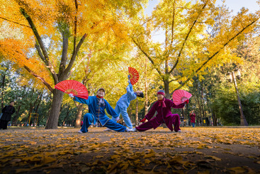 太极神功